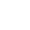 ins logo.png
